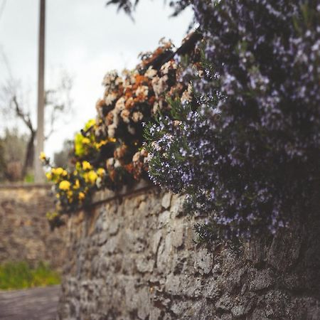 Agriturismo La Collina Toscana 피에베 아 마이아노 외부 사진