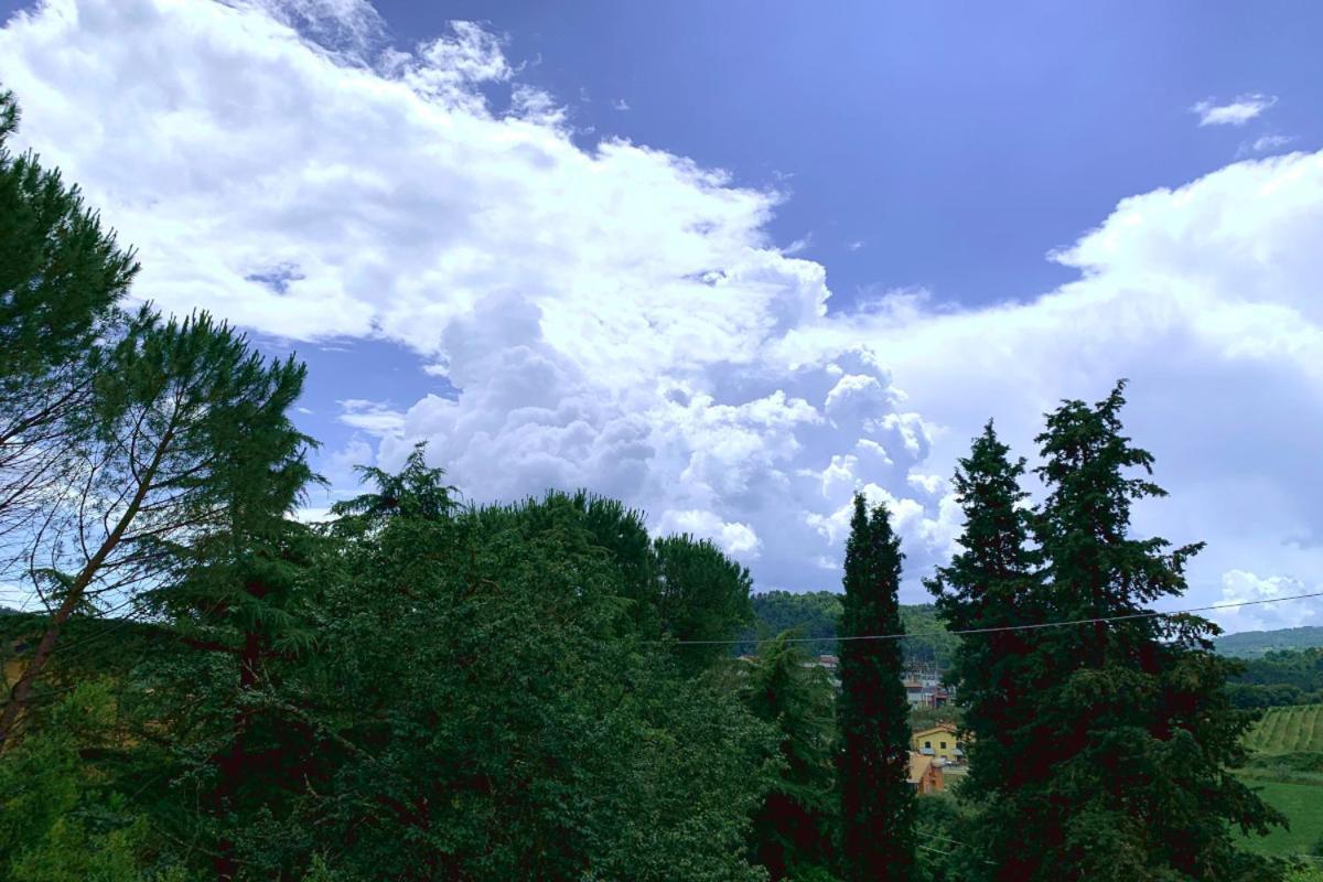Agriturismo La Collina Toscana 피에베 아 마이아노 외부 사진