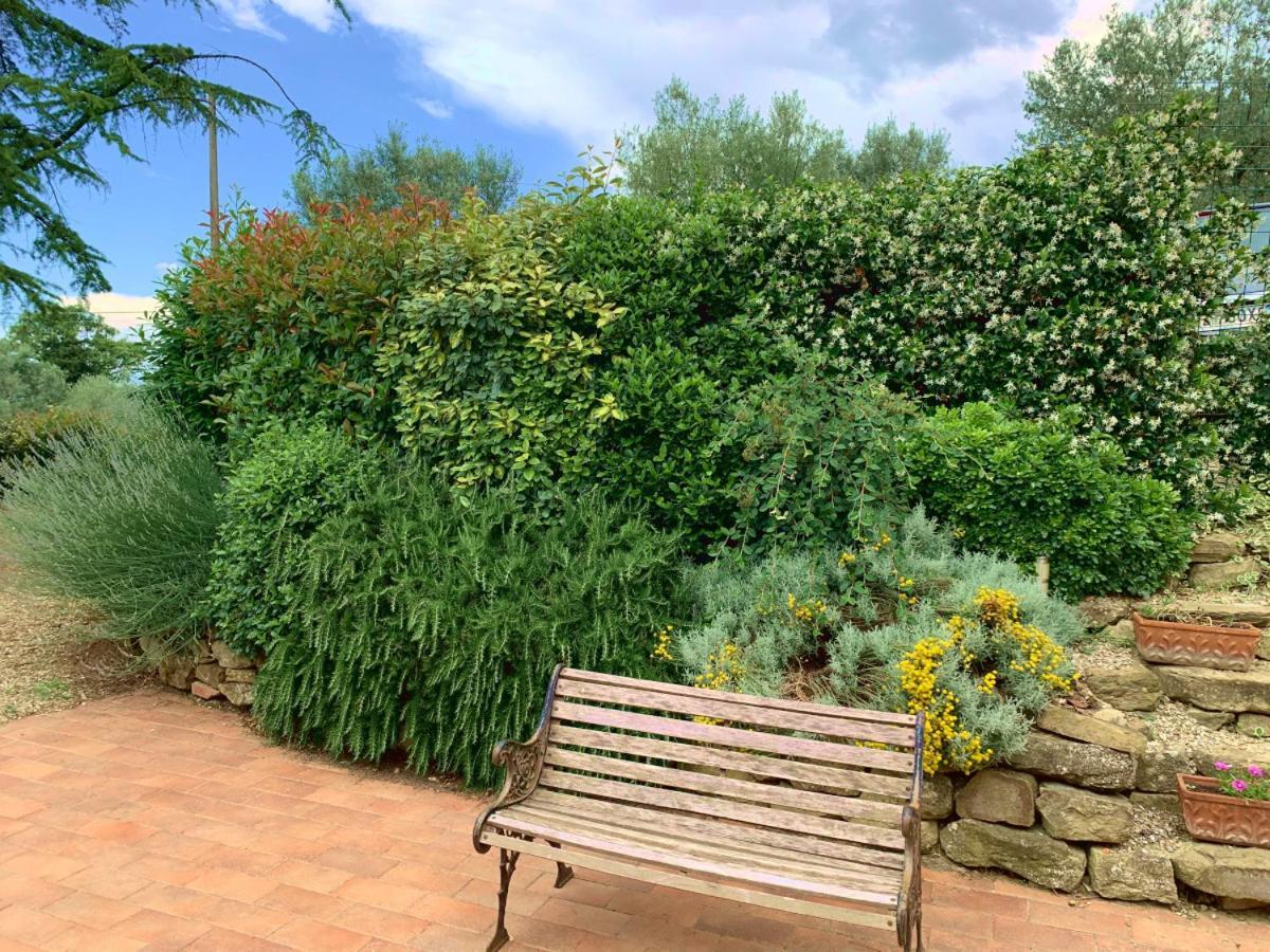 Agriturismo La Collina Toscana 피에베 아 마이아노 외부 사진