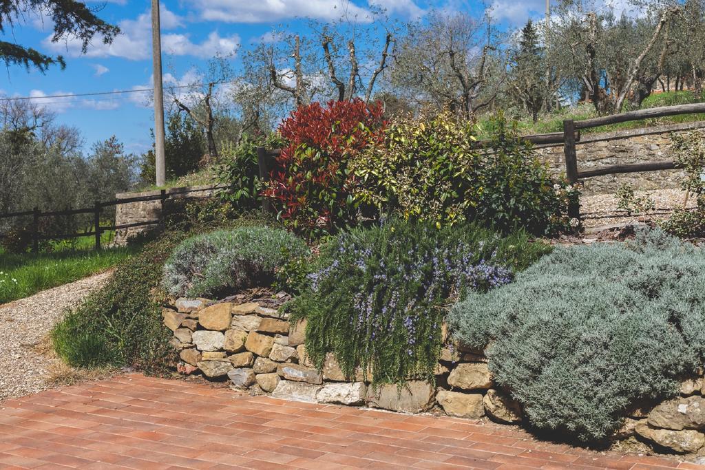 Agriturismo La Collina Toscana 피에베 아 마이아노 외부 사진
