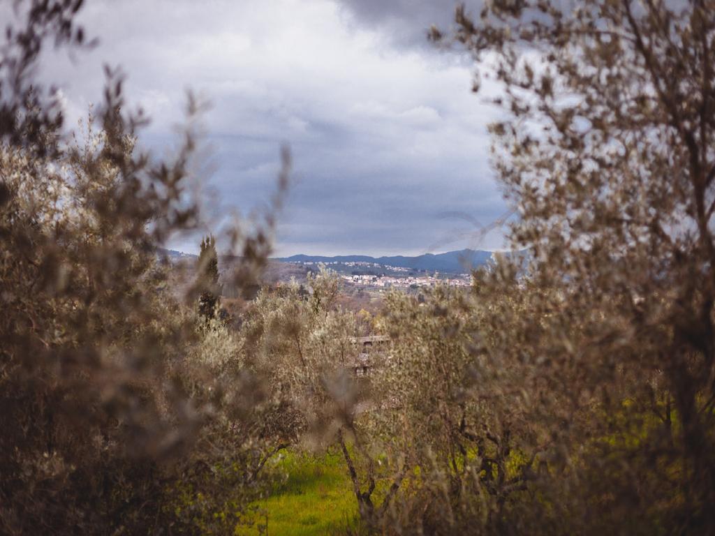 Agriturismo La Collina Toscana 피에베 아 마이아노 외부 사진
