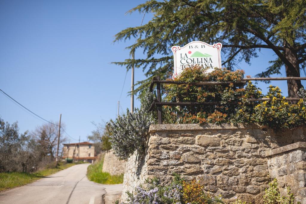 Agriturismo La Collina Toscana 피에베 아 마이아노 외부 사진